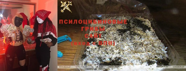 эйфоретик Заводоуковск