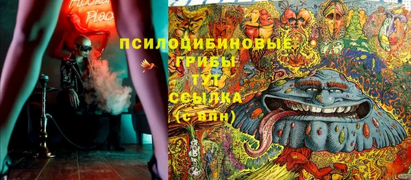 эйфоретик Заводоуковск