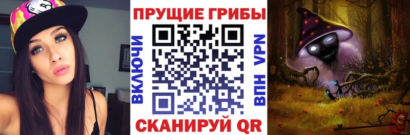 Купить закладки  Донской  Галлюциногенные грибы Psilocybine cubensis 